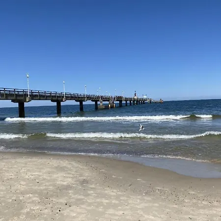 Marin, 11